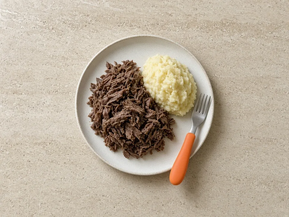 Bison for 12 months+: shredded or in family meals