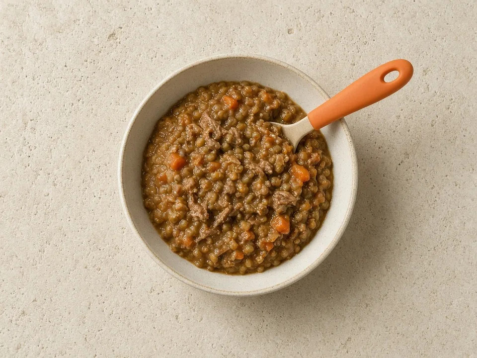 Bone broth for 18 months+: soups, stews and sauces