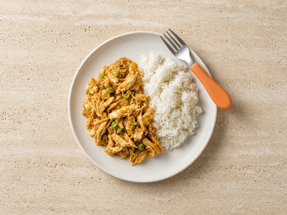 Curry for 18 months+: family curry and rice