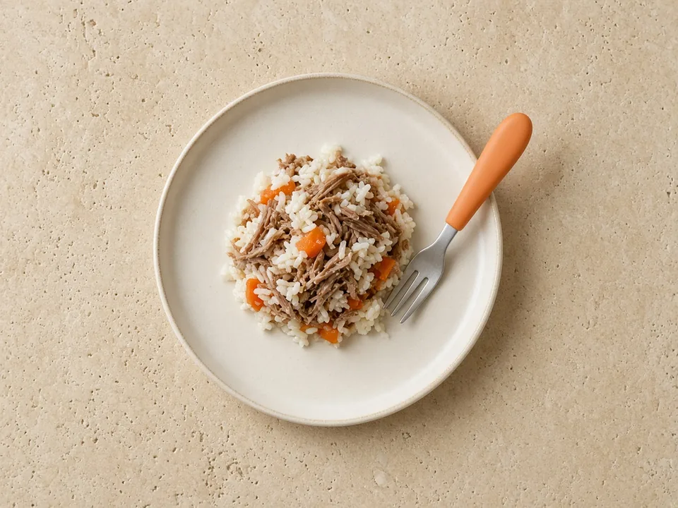 Duck for 12 months+: shredded or in family meals
