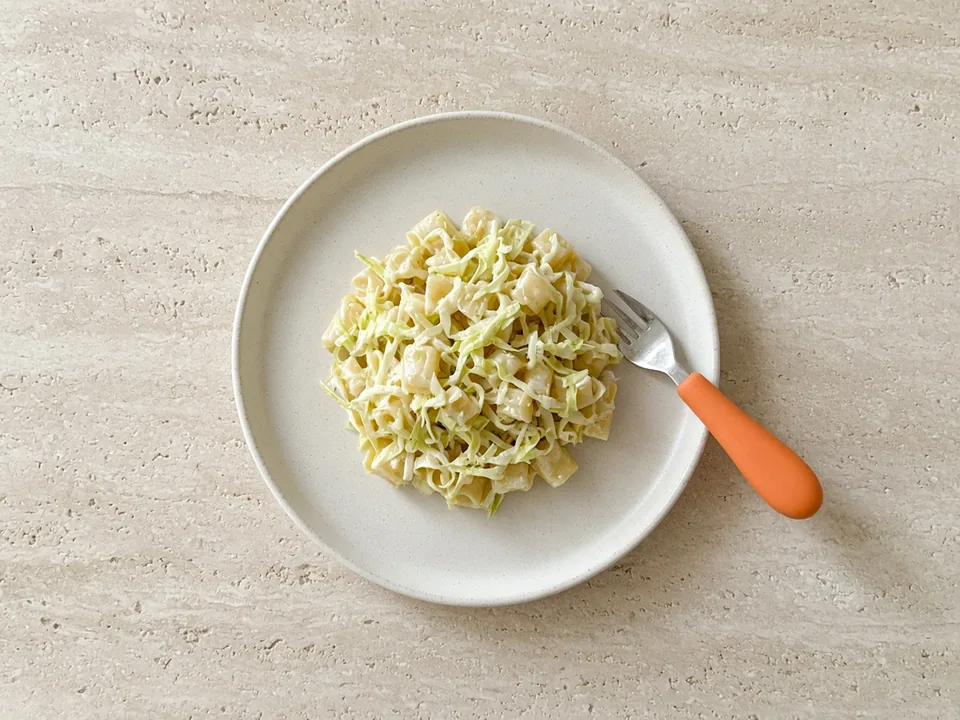 Endive for 12 months+: finely shredded raw, or cooked