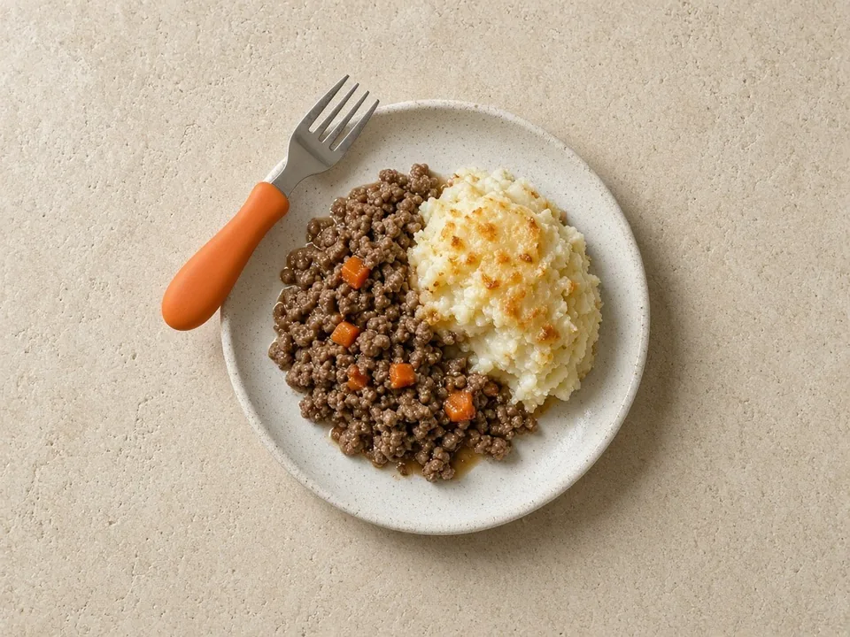 Ground beef for 12 months+: ground beef in family meals