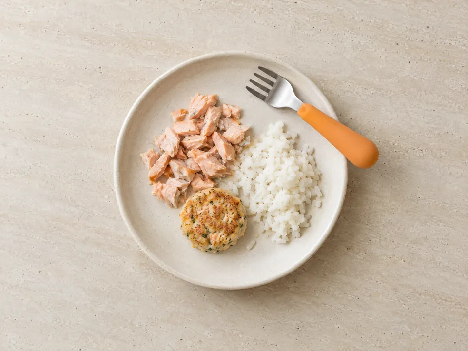 Salmon for 12 months+: pieces or in family meals