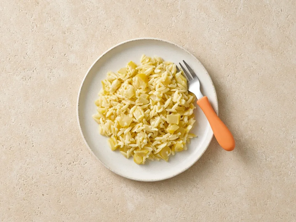 Yellow squash for 12 months+: soft-cooked pieces or in dishes