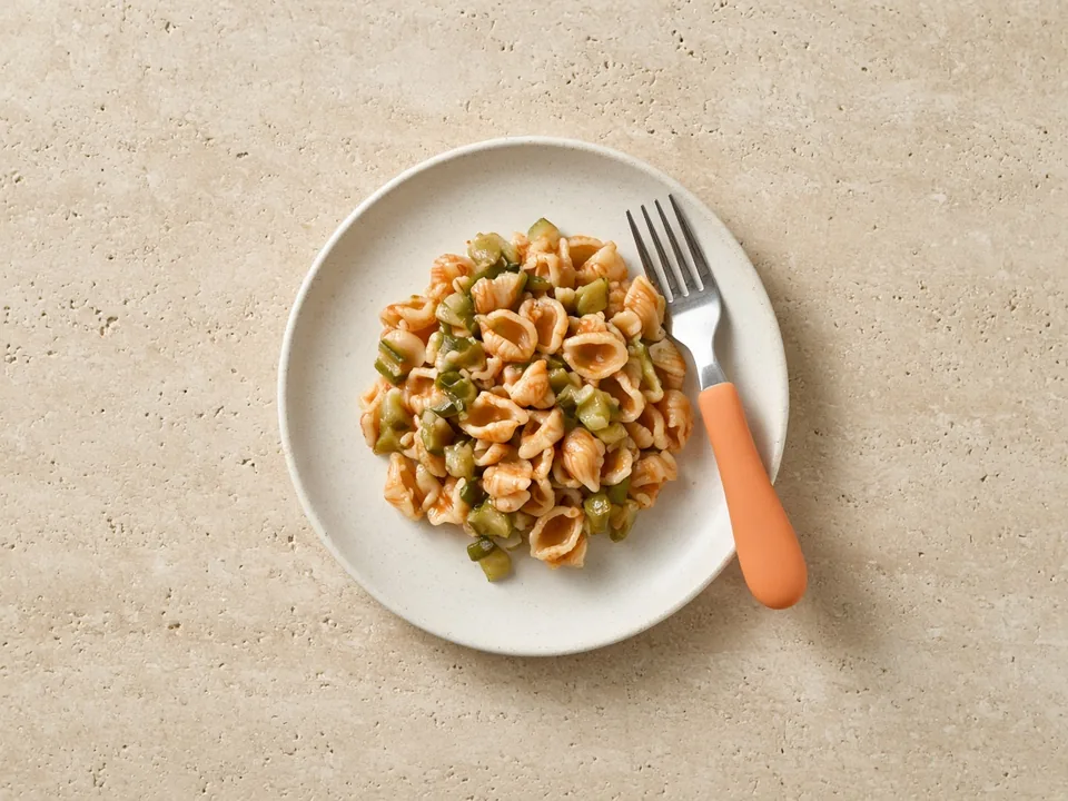 Zucchini for 12 months+: soft-cooked pieces or in dishes